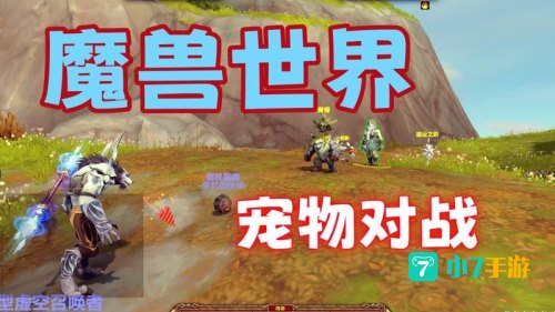 wow宠物对战攻略