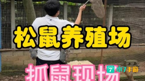 怎么抓松鼠